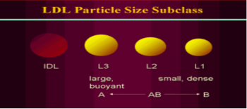 LDL-KOLESTEROL A ve B