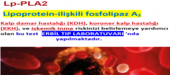 Lp-PLA2 ( Lipoprotein ilişkili Fosfolipaz A 2 )