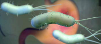 Helicobacter Pylori : Kime Test Yapılmalı ve Nasıl Tedavi Edilmelidir?